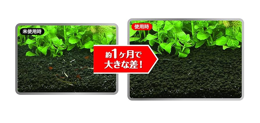 Amazon | ジェックス ベストバイオサンド 0.6L | ジェックス